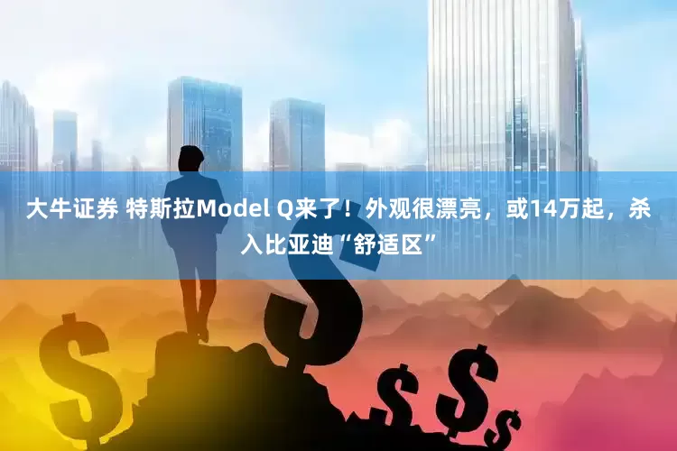 大牛证券 特斯拉Model Q来了！外观很漂亮，或14万起，杀入比亚迪“舒适区”