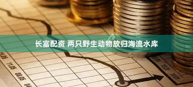 长富配资 两只野生动物放归海流水库